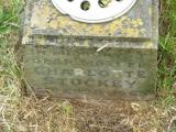 image of grave number 656187